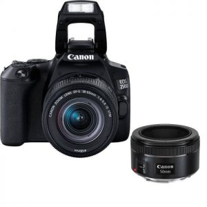 Canon EOS 250D (24 MP) Essential Portrait Kit