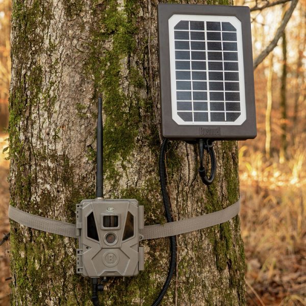 Bushnell Trail Camera