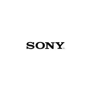 Sigma E for Sony